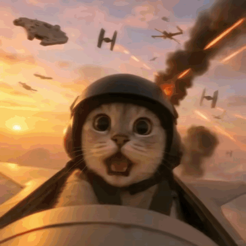 A wide-eyed cat piloting through a chaotic aerial battle